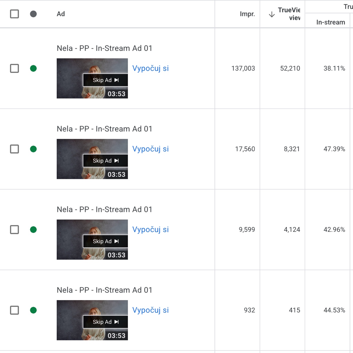 Screenshot of Nela Pocisková’s campaign in Google Ads